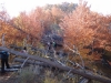 tara-luanei-varful-turtudui-20-12-octombrie-2013-interad-travel-infinit-tabara-initiatica