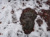 pietrele-misterioase-din-busteni-02-in-23-februarie-2014